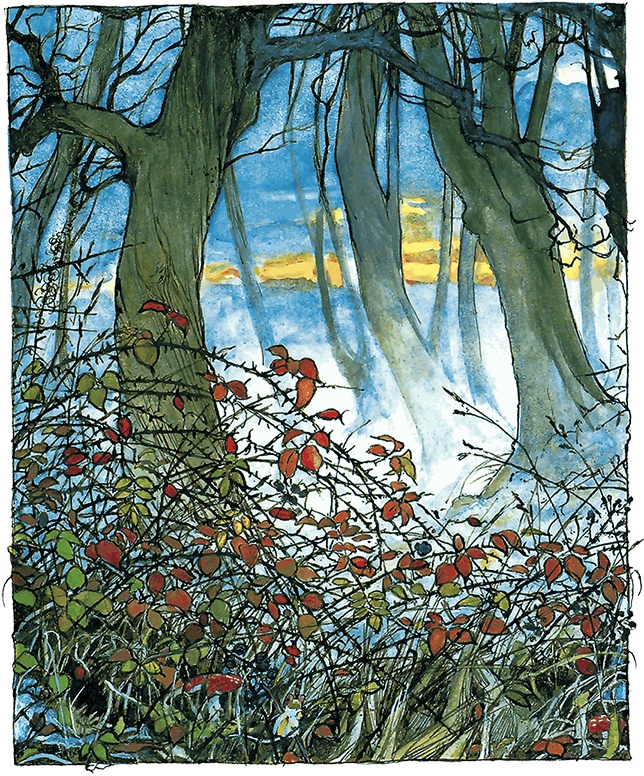 Иллюстрация к книге — Сказки и истории Ежевичной поляны (сборник) [i_074.jpg]