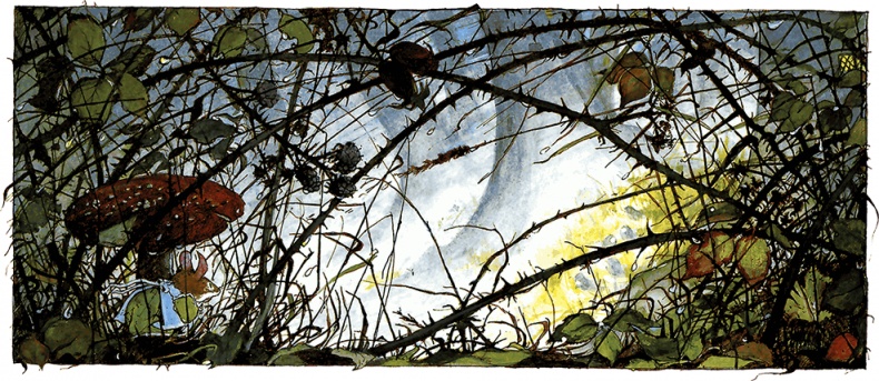 Иллюстрация к книге — Сказки и истории Ежевичной поляны (сборник) [i_075.jpg]