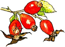 Иллюстрация к книге — Сказки и истории Ежевичной поляны (сборник) [i_077.jpg]