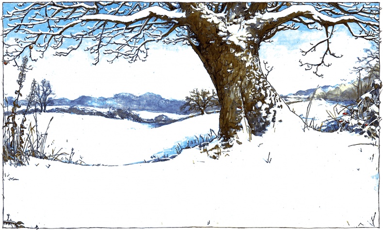 Иллюстрация к книге — Сказки и истории Ежевичной поляны (сборник) [i_088.jpg]