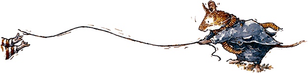 Иллюстрация к книге — Сказки и истории Ежевичной поляны (сборник) [i_151.jpg]