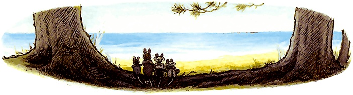 Иллюстрация к книге — Сказки и истории Ежевичной поляны (сборник) [i_167.jpg]