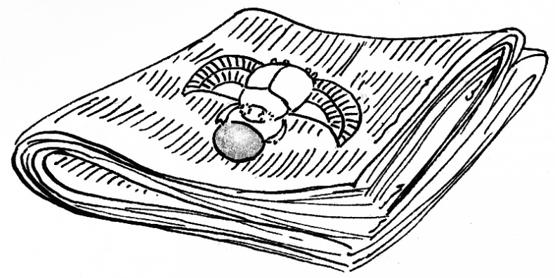 Иллюстрация к книге — Египетский ребус [i_028.jpg]