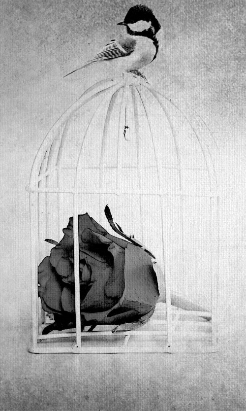 Иллюстрация к книге — 100 дней между жизнью и смертью [i_001.jpg]