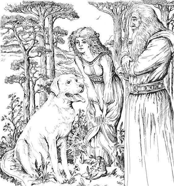 Иллюстрация к книге — Сказание о живой воде [i_017.jpg]