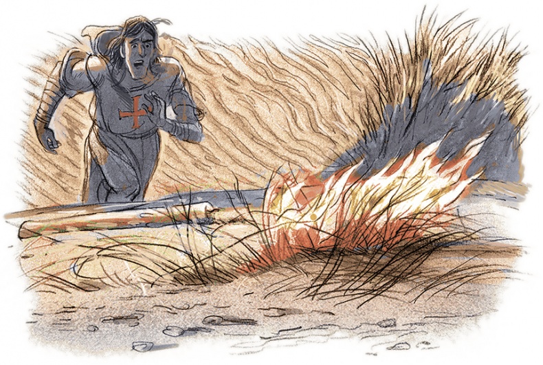 Иллюстрация к книге — Чудесная сказка [i_026.jpg]