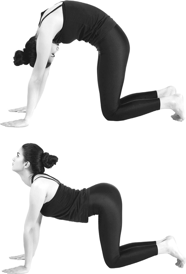 Иллюстрация к книге — Я привлекаю любовь. Новый эффективный метод создания гармоничной и радостной жизни для себя и своих близких [i_001.jpg]