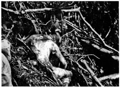 Иллюстрация к книге — Затерянные в Шангри-Ла [i_017.jpg]