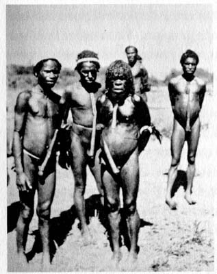 Иллюстрация к книге — Затерянные в Шангри-Ла [i_026.jpg]