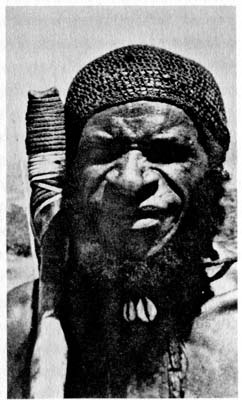 Иллюстрация к книге — Затерянные в Шангри-Ла [i_027.jpg]