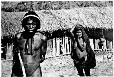 Иллюстрация к книге — Затерянные в Шангри-Ла [i_033.jpg]