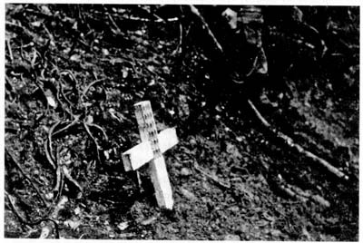 Иллюстрация к книге — Затерянные в Шангри-Ла [i_039.jpg]