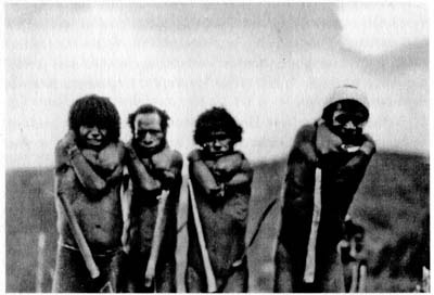 Иллюстрация к книге — Затерянные в Шангри-Ла [i_047.jpg]