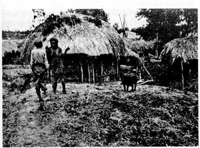 Иллюстрация к книге — Затерянные в Шангри-Ла [i_051.jpg]