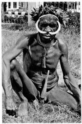 Иллюстрация к книге — Затерянные в Шангри-Ла [i_063.jpg]