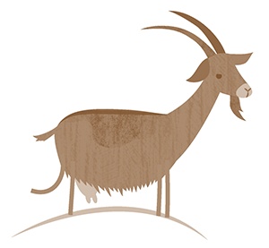 Иллюстрация к книге — Следователь Карасик. 12 загадок для детей и родителей [i_016.jpg]