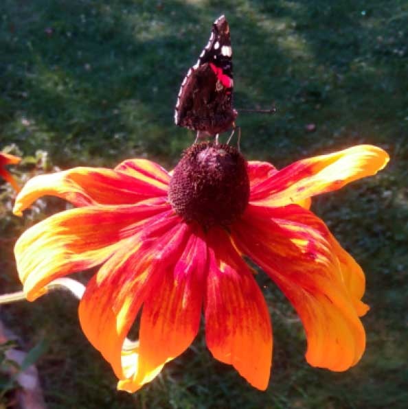 Иллюстрация к книге — За миг до откровения [i_008.jpg]