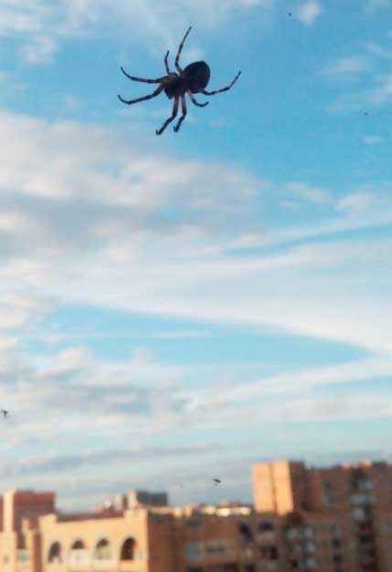 Иллюстрация к книге — За миг до откровения [i_012.jpg]