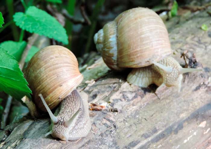 Иллюстрация к книге — За миг до откровения [i_018.jpg]