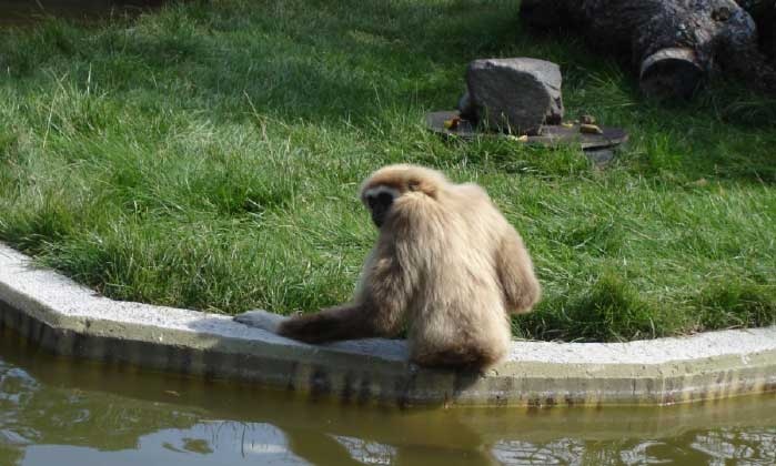 Иллюстрация к книге — За миг до откровения [i_021.jpg]