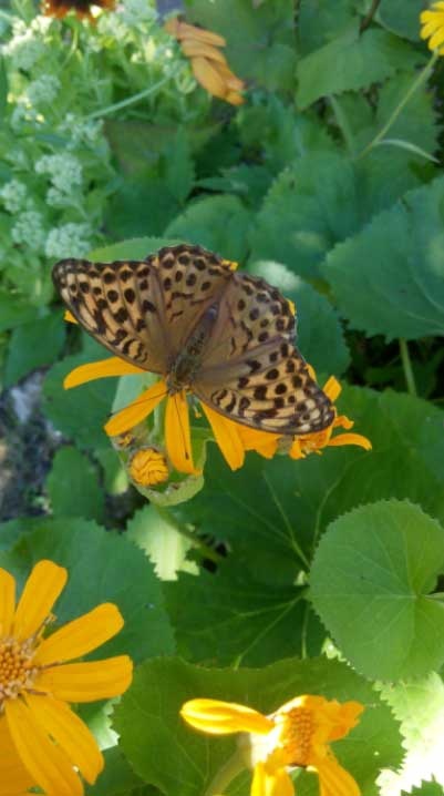 Иллюстрация к книге — За миг до откровения [i_022.jpg]