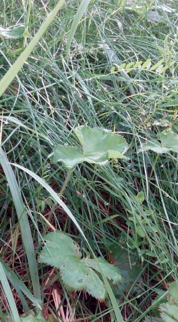 Иллюстрация к книге — За миг до откровения [i_023.jpg]