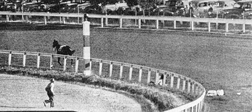 Иллюстрация к книге — Фаворит. Американская легенда [i_006.jpg]