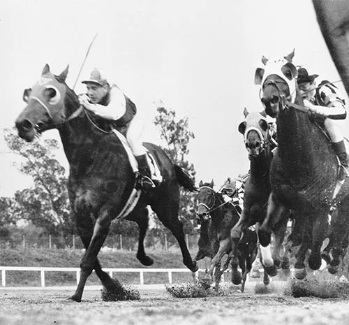 Иллюстрация к книге — Фаворит. Американская легенда [i_014.jpg]