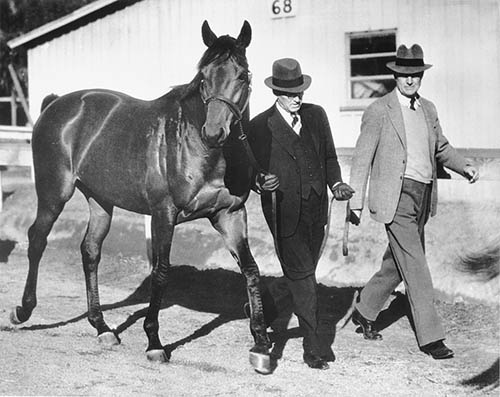 Иллюстрация к книге — Фаворит. Американская легенда [i_015.jpg]