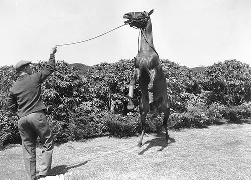 Иллюстрация к книге — Фаворит. Американская легенда [i_016.jpg]