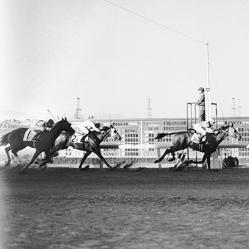 Иллюстрация к книге — Фаворит. Американская легенда [i_019.jpg]