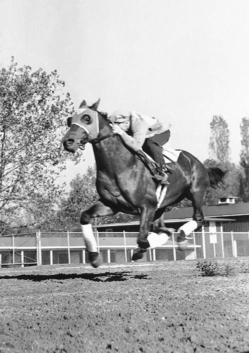 Иллюстрация к книге — Фаворит. Американская легенда [i_021.jpg]