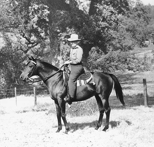 Иллюстрация к книге — Фаворит. Американская легенда [i_027.jpg]