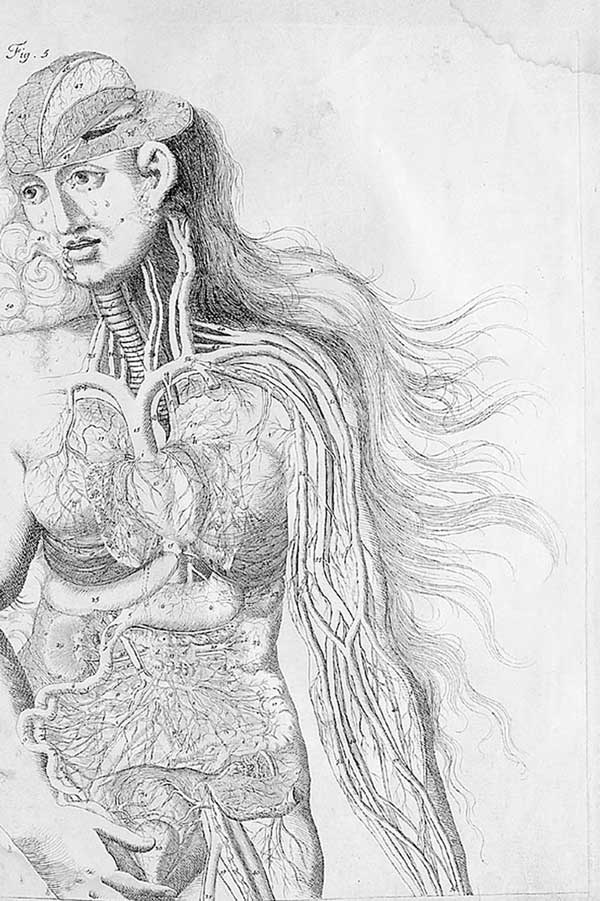 Иллюстрация к книге — Мозг. Тайны разума [i_022.jpg]