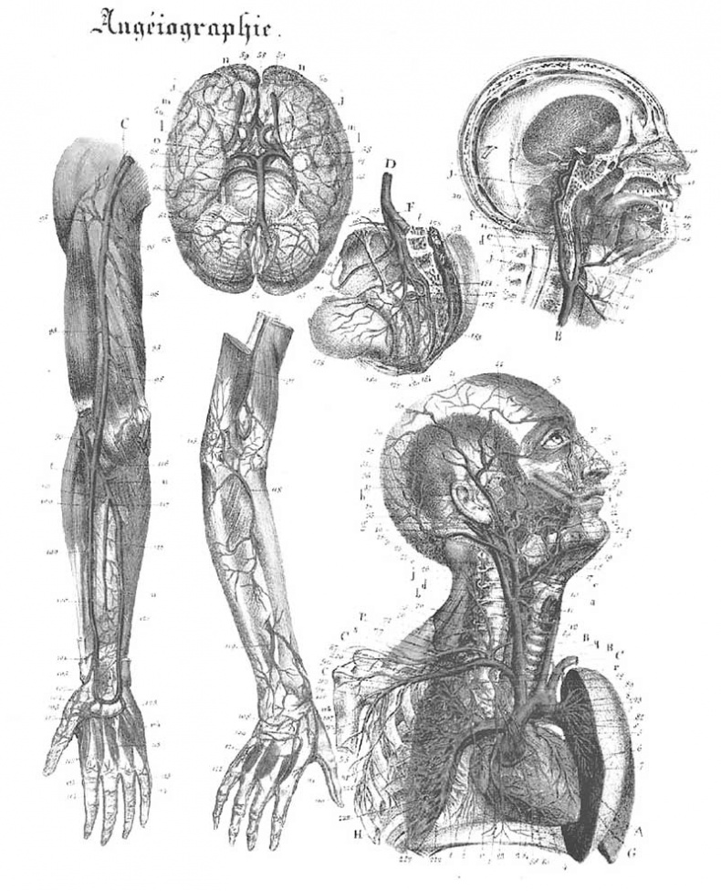 Иллюстрация к книге — Мозг. Тайны разума [i_032.jpg]
