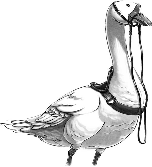 Иллюстрация к книге — Страна Сказок. Возвращение Колдуньи [i_008.jpg]