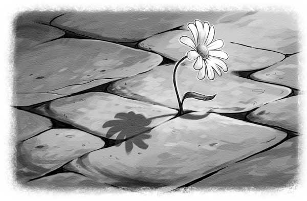 Иллюстрация к книге — Страна Сказок. Возвращение Колдуньи [i_011.jpg]