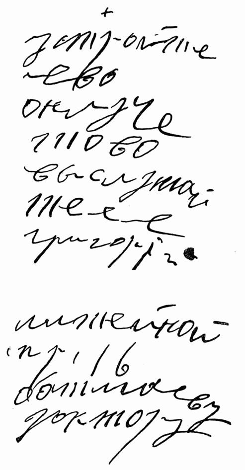 Иллюстрация к книге — Григорий Распутин. Жизнь старца и гибель империи [i_068.jpg]