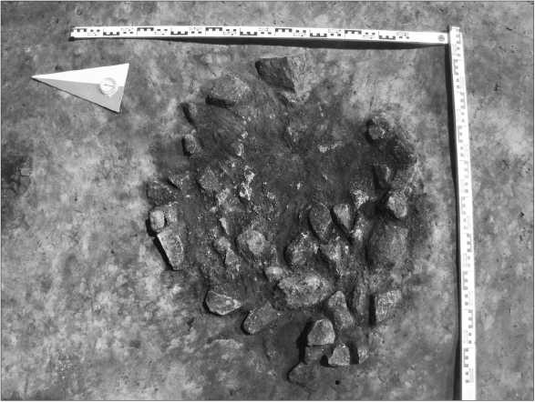 Иллюстрация к книге — Окрестности Петербурга. Из истории ижорской земли [i_008.jpg]