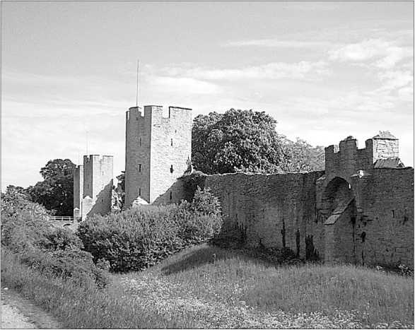 Иллюстрация к книге — Окрестности Петербурга. Из истории ижорской земли [i_014.jpg]