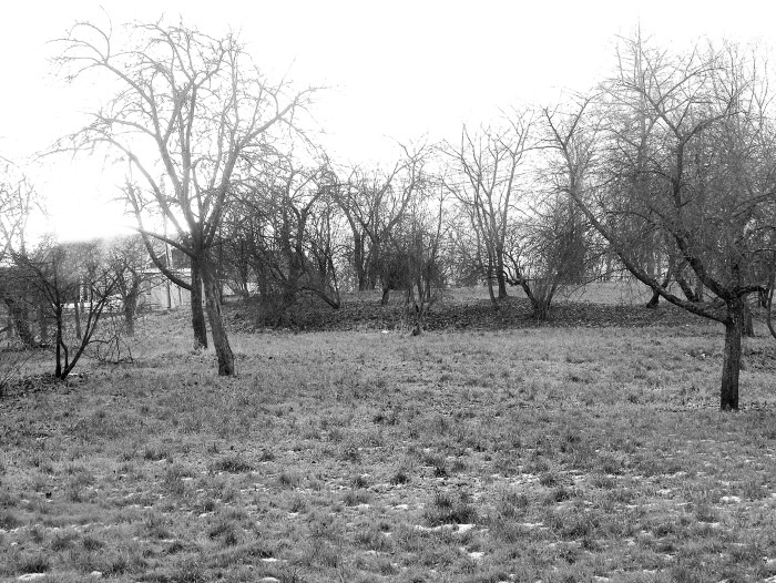 Иллюстрация к книге — Окрестности Петербурга. Из истории ижорской земли [i_096.jpg]