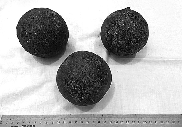 Иллюстрация к книге — Окрестности Петербурга. Из истории ижорской земли [i_101.jpg]