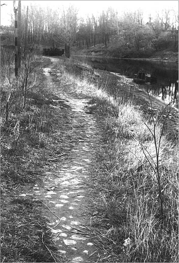 Иллюстрация к книге — Окрестности Петербурга. Из истории ижорской земли [i_131.jpg]