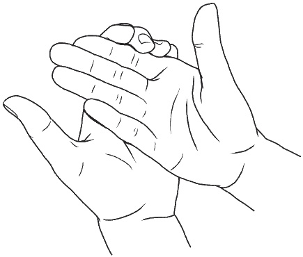 Иллюстрация к книге — Головная боль. Лечение и профилактика традиционными и нетрадиционными методами [i_008.jpg]