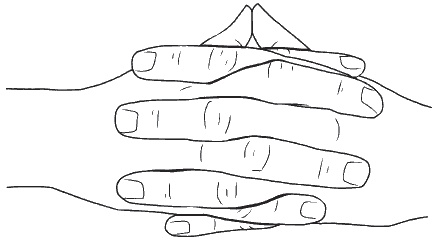 Иллюстрация к книге — Головная боль. Лечение и профилактика традиционными и нетрадиционными методами [i_010.jpg]