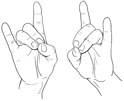 Иллюстрация к книге — Головная боль. Лечение и профилактика традиционными и нетрадиционными методами [i_013.jpg]