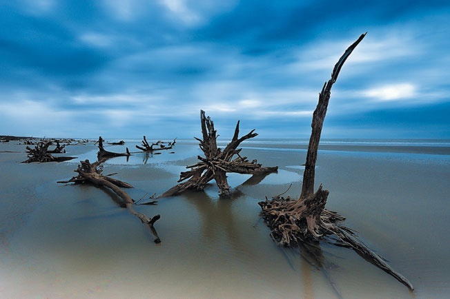 Иллюстрация к книге — Цивилизация. Чем Запад отличается от остального мира [i_038.jpg]