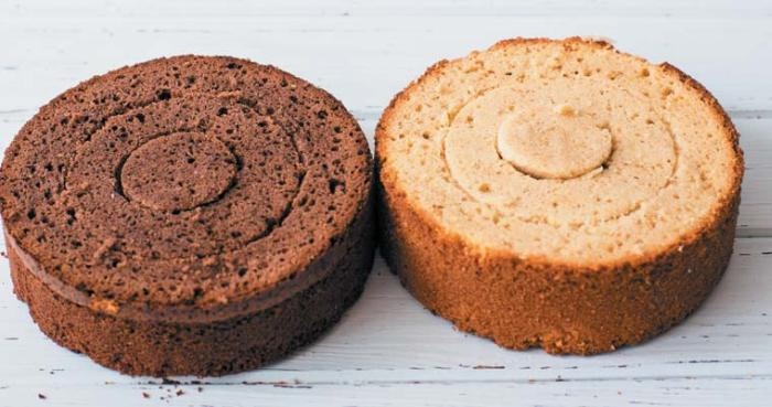 Иллюстрация к книге — Торты с сюрпризом. Шоколадные, сливочные, кофейные, желейные, ореховые, фруктовые [_055_3.jpg]