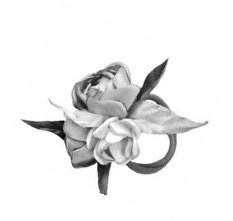 Иллюстрация к книге — Хранитель забытых вещей [i_012.jpg]