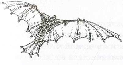 Иллюстрация к книге — Дневник Мишки Клюшкина [i_030.jpg]